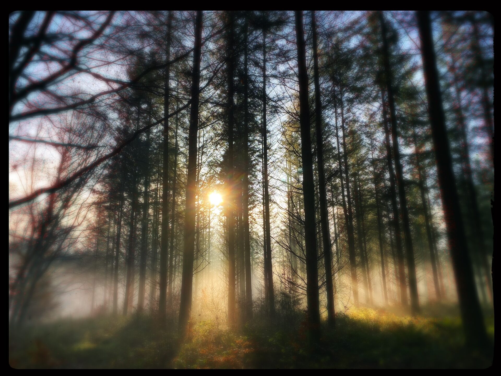 548476682_1411667930678236_6357756552869838779_n